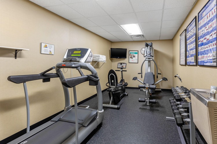 Treadmill, free weights, bike, and strength training machine 